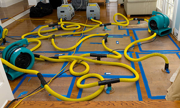 Professional Water Damage Repair technician working in Milledgeville, OH