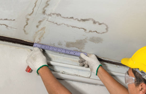 Affordable Water Damage Repair solutions in Milledgeville, OH